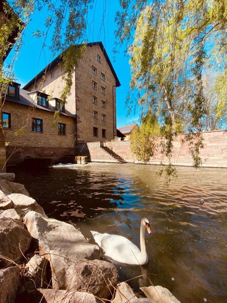 Hotel-Spa Le Moulin De La Wantzenau - Strasbourg Nord Exterior photo